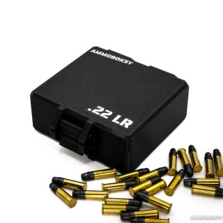 Pudełko na amunicję .22LR na 100 szt.