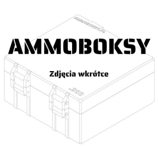Pudełko na amunicję .22LR na 200 szt.